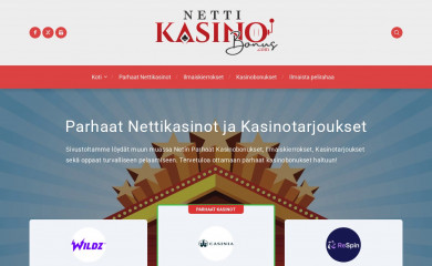 nettikasinobonus.com screenshot