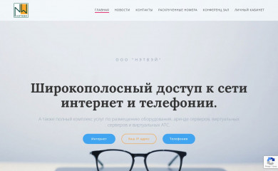 netway.ru screenshot