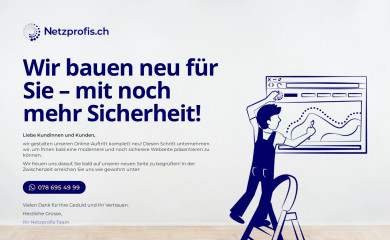 netzprofis.ch screenshot