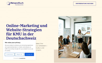 netzprofis.ch screenshot