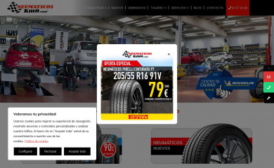 neumaticoskm0.com screenshot