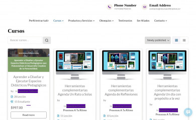 neuroaceleracion.com screenshot
