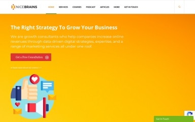 nicebrains.com screenshot