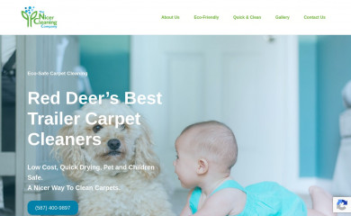 nicercleaning.com screenshot