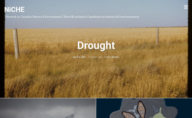 niche-canada.org screenshot