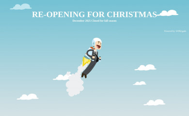 niagaraairtours.com screenshot