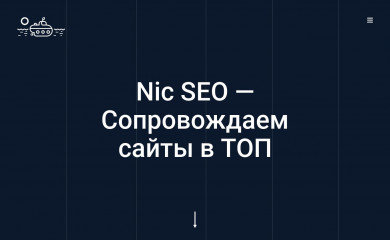 nic-seo.ru screenshot