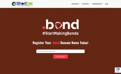 nic.bond screenshot