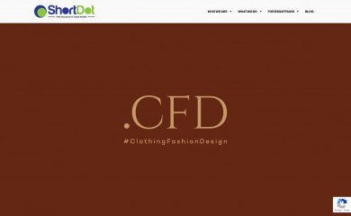 nic.cfd screenshot