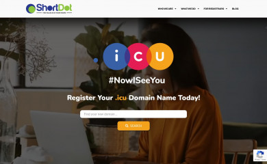 nic.icu screenshot