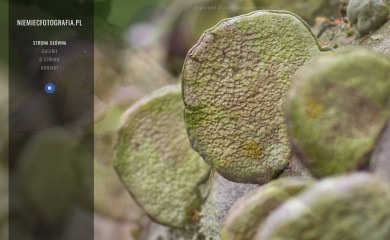 niemiecfotografia.pl screenshot