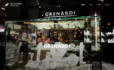 nils.digital screenshot