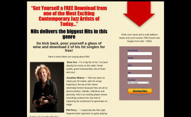 nilsguitar.com screenshot