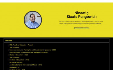ninaatig.com screenshot