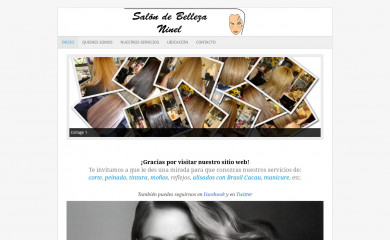 ninel.cl screenshot
