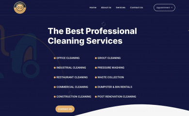 niraansprocleaning.ca screenshot