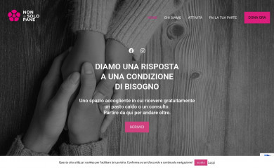 nondisolopanemagenta.it screenshot