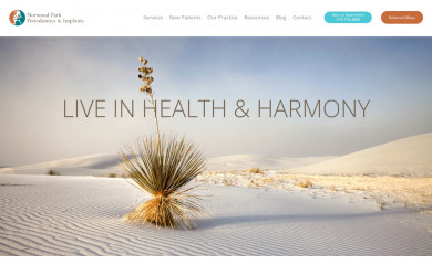 norwoodparkperio.com screenshot