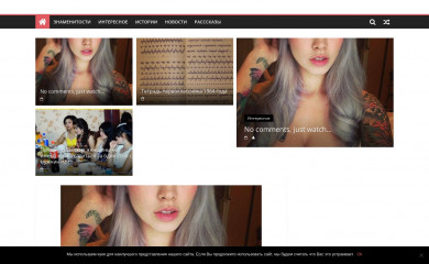 nowostnoyslonik.ru screenshot