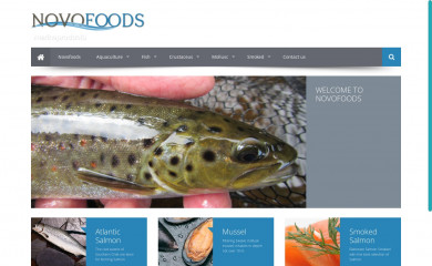 novofoods.cl screenshot