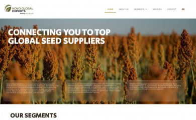 novoglobalexports.com screenshot