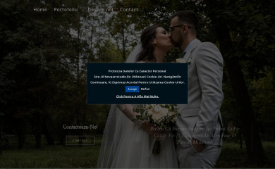 novaartstudio.ro screenshot