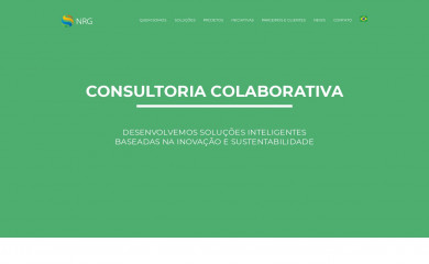 nrgconsultoria.com.br screenshot