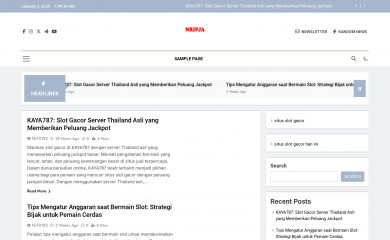 nripja.com screenshot