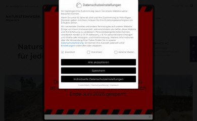 nsm-steinwerk.de screenshot