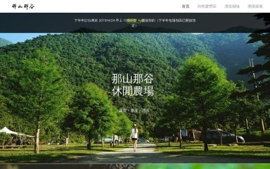 http://nsng.tw screenshot