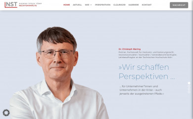 nst-inso.com screenshot