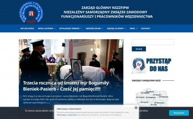 nszzfipw.org.pl screenshot