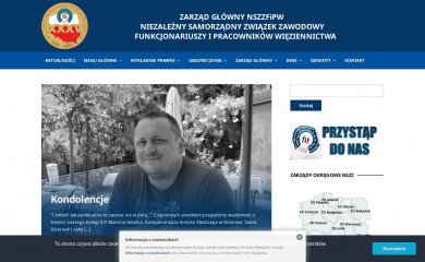 nszzfipw.org.pl screenshot
