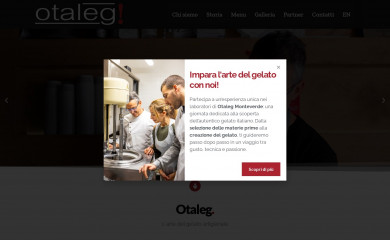 otaleg.com screenshot
