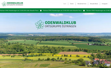 owkoestringen.de screenshot