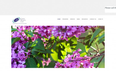 obandgyncenter.com screenshot