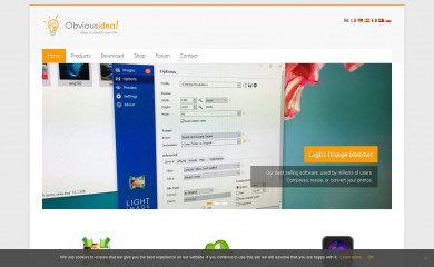 obviousidea.com screenshot