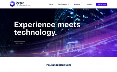 oceanunderwriting.com.au screenshot