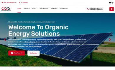 oespvtltd.com screenshot