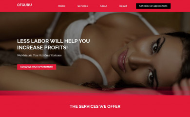 ofgurus.com screenshot