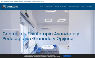 ogisalud.com screenshot