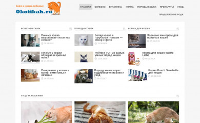 okotikah.ru screenshot