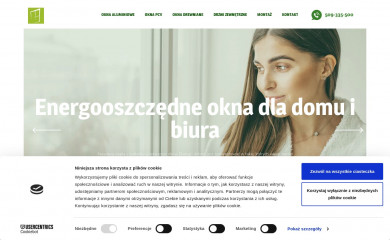 oknawitkowski.pl screenshot