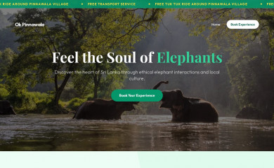 okpinnawala.com screenshot