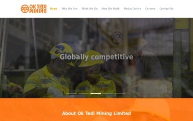oktedi.com screenshot