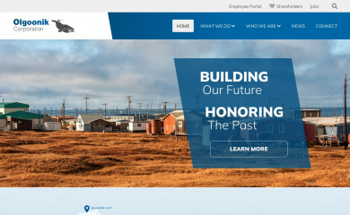olgoonik.com screenshot