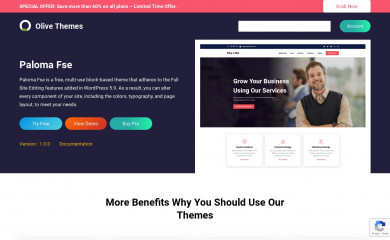 Paloma FSE screenshot