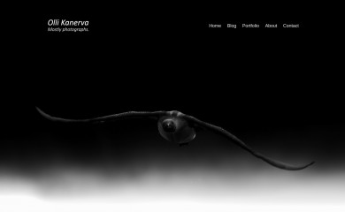 ollikanerva.fi screenshot