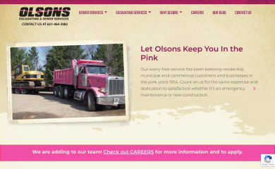 olsonsinthepink.com screenshot