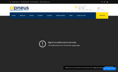 olpneus.it screenshot